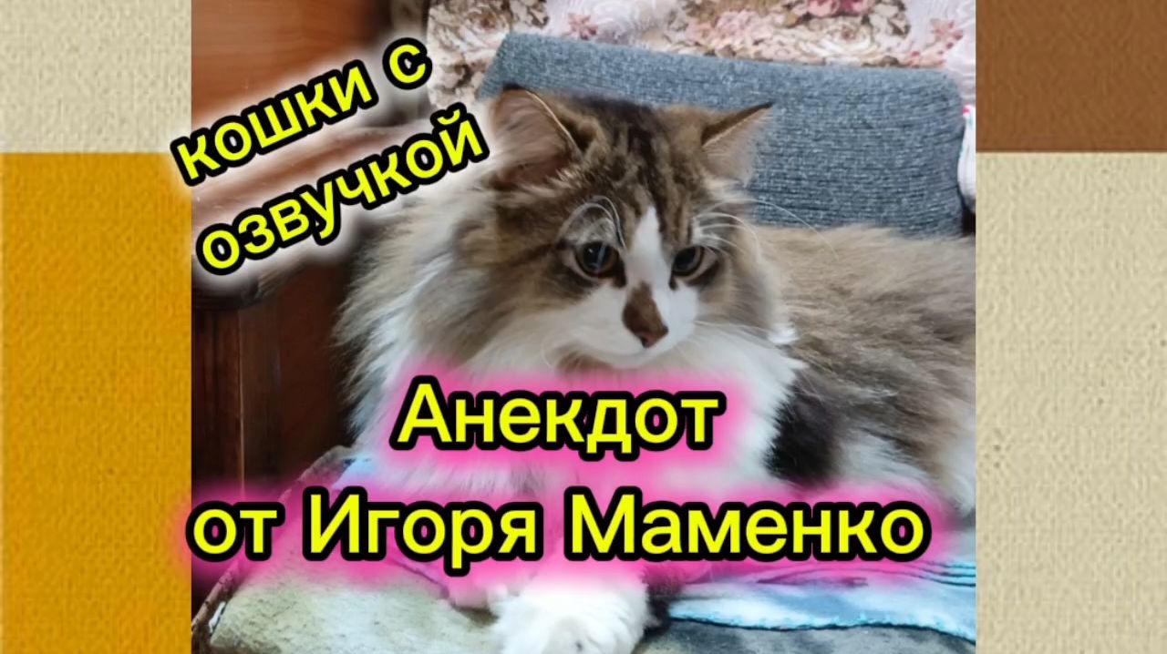 Анекдот от Игоря Маменко.