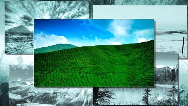 Stive Morgan - And He'll Come