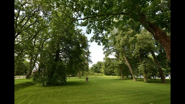 Алтун  5 августа 2017