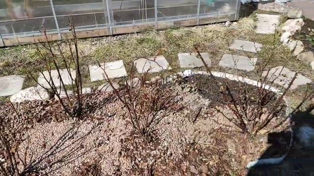 3.ДАЧА..получаем грядки для теплицы.на складе производителя Тепличный выбор (18.04.21)