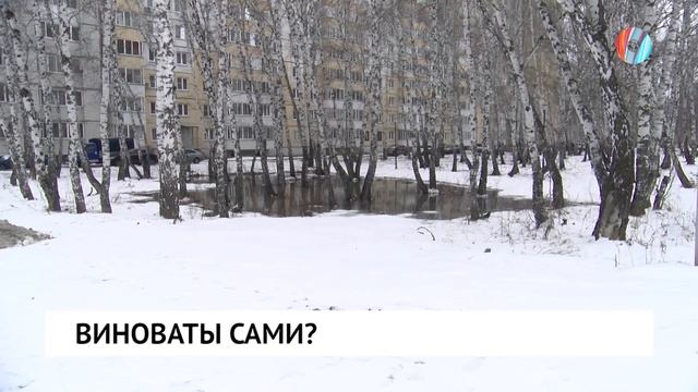 Виноваты сами?