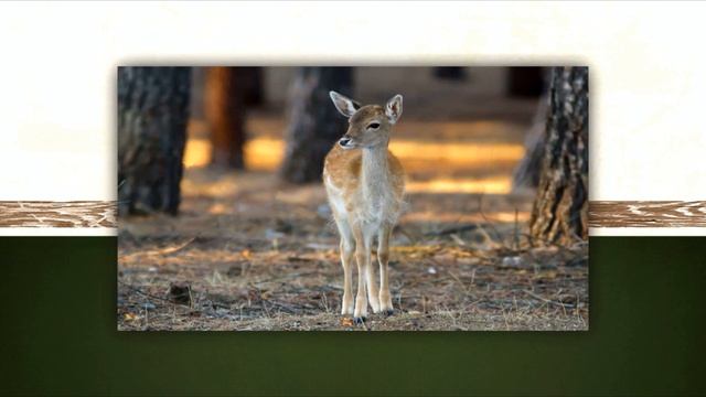 Cities In The Clouds 02