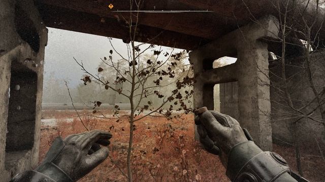 С.Т.А.Л.К.Е.Р. 2 -Аномальная активность №35