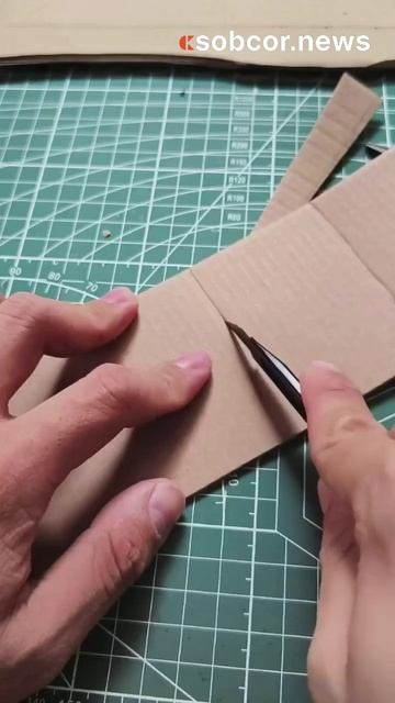 Когда твой хозяин идиот, но креативный #юмор #прикол #животные #кот