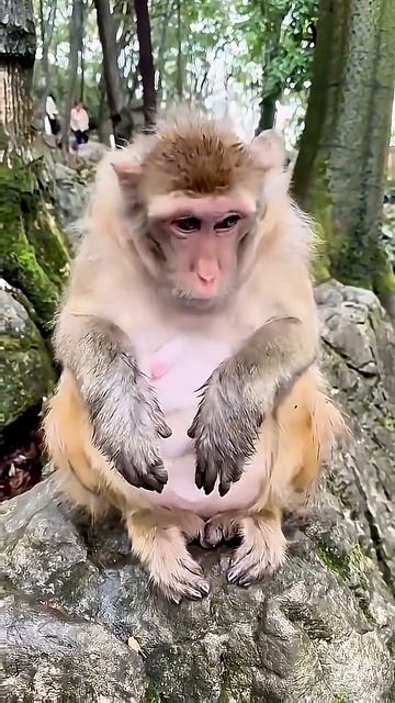 Тухлые деликатесы. 🤢🤮🥴