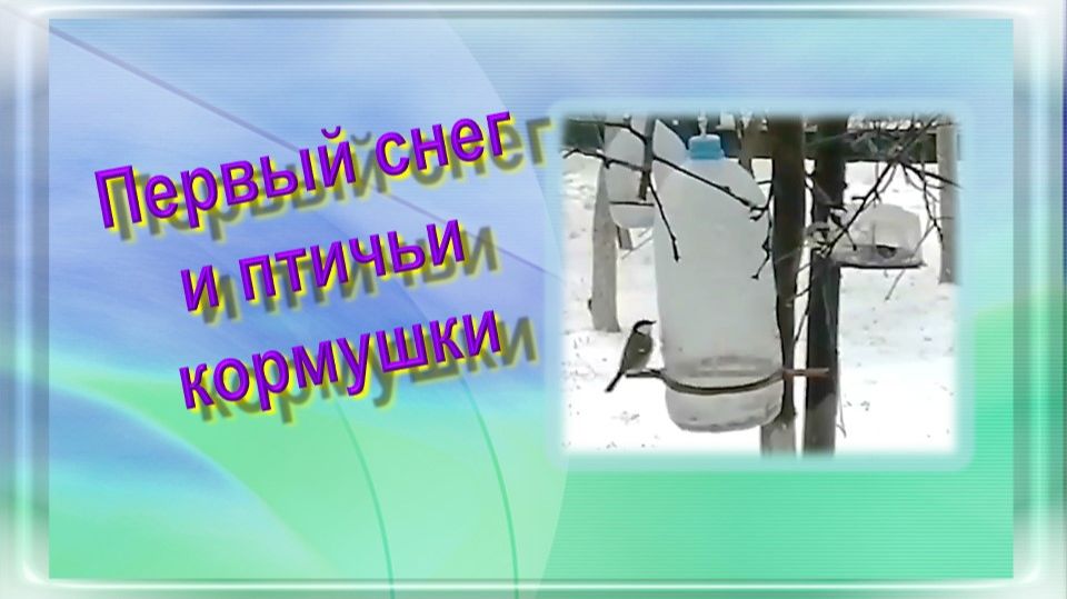 Первый снег и птичьи кормушки