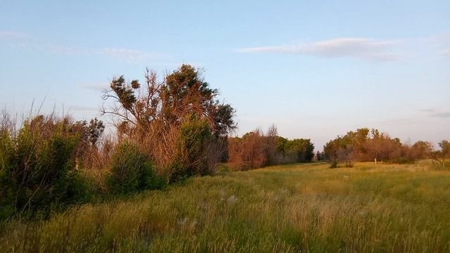 Посёлок Светлый, Краснопартизанский район.