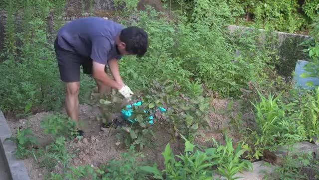 Жизнь в Нагасаки - Жизнь в старинном доме на холмах Нагасаки, Япония (август 2024)