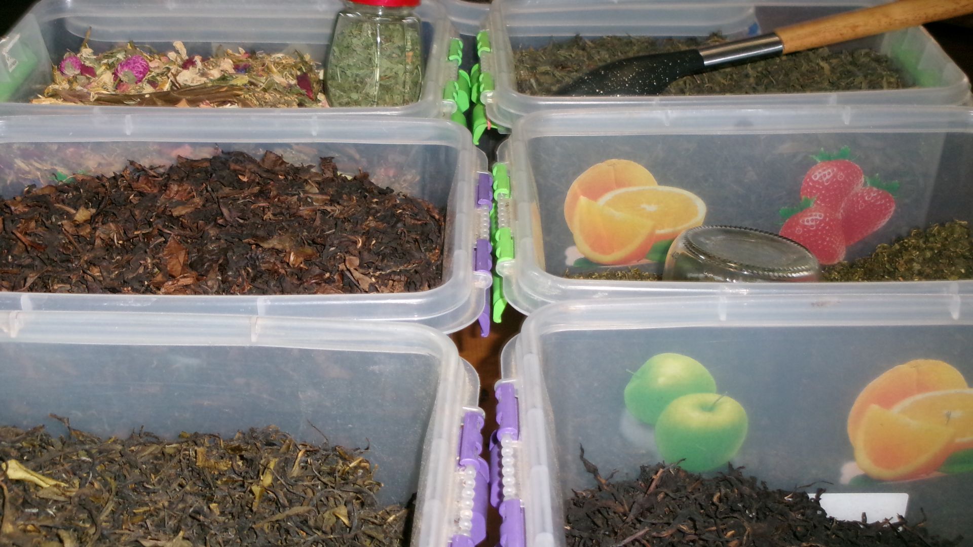 Наш отпуск в Абхазии.. Экскурсия. Поехали  на Дегустацию чая..