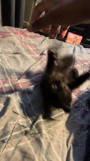 Он только учится