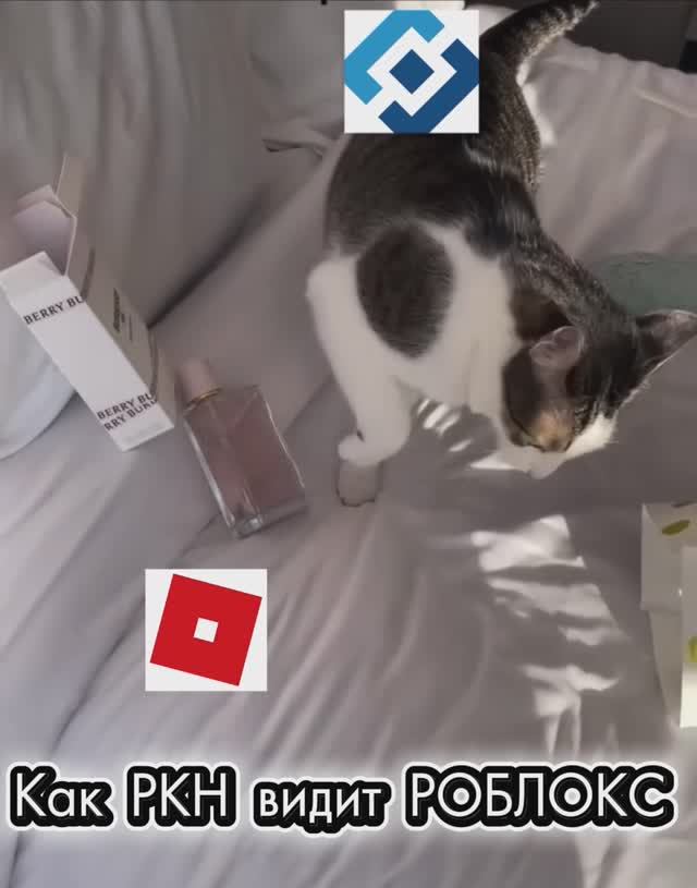 Как РКН видит РОБЛОКС🤦♂️ #прикол #роблокс #shorts