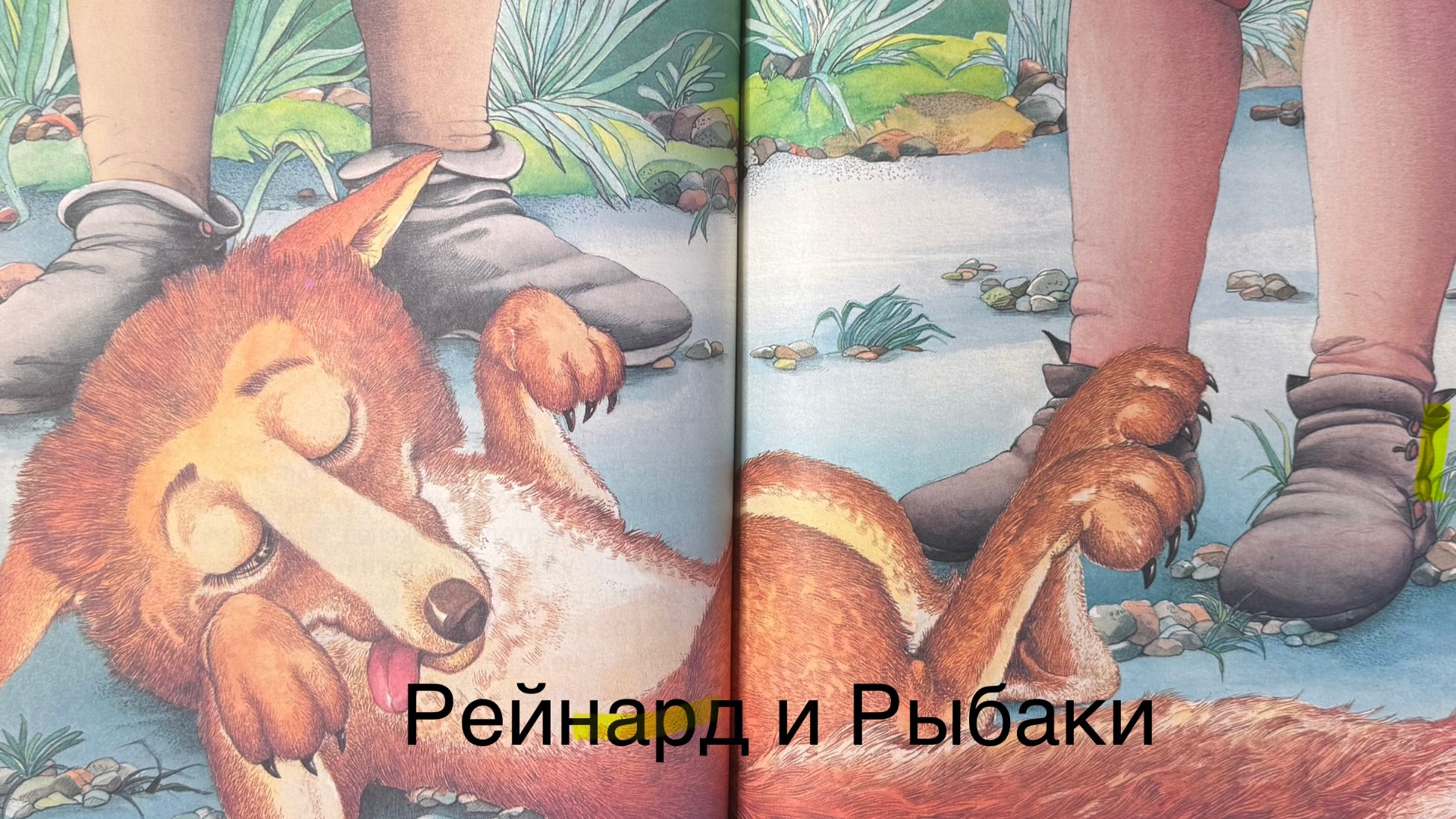 Сказка Рейнард и Рыбаки | Сказки о Рейнарде | Читаем вместе ! #мирувлечений