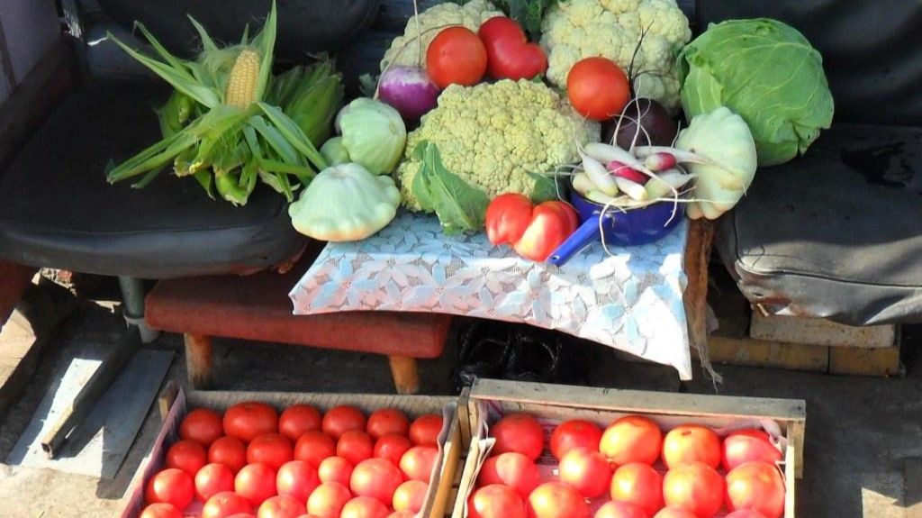 Ответы на вопросы по садово-огородным делам 59