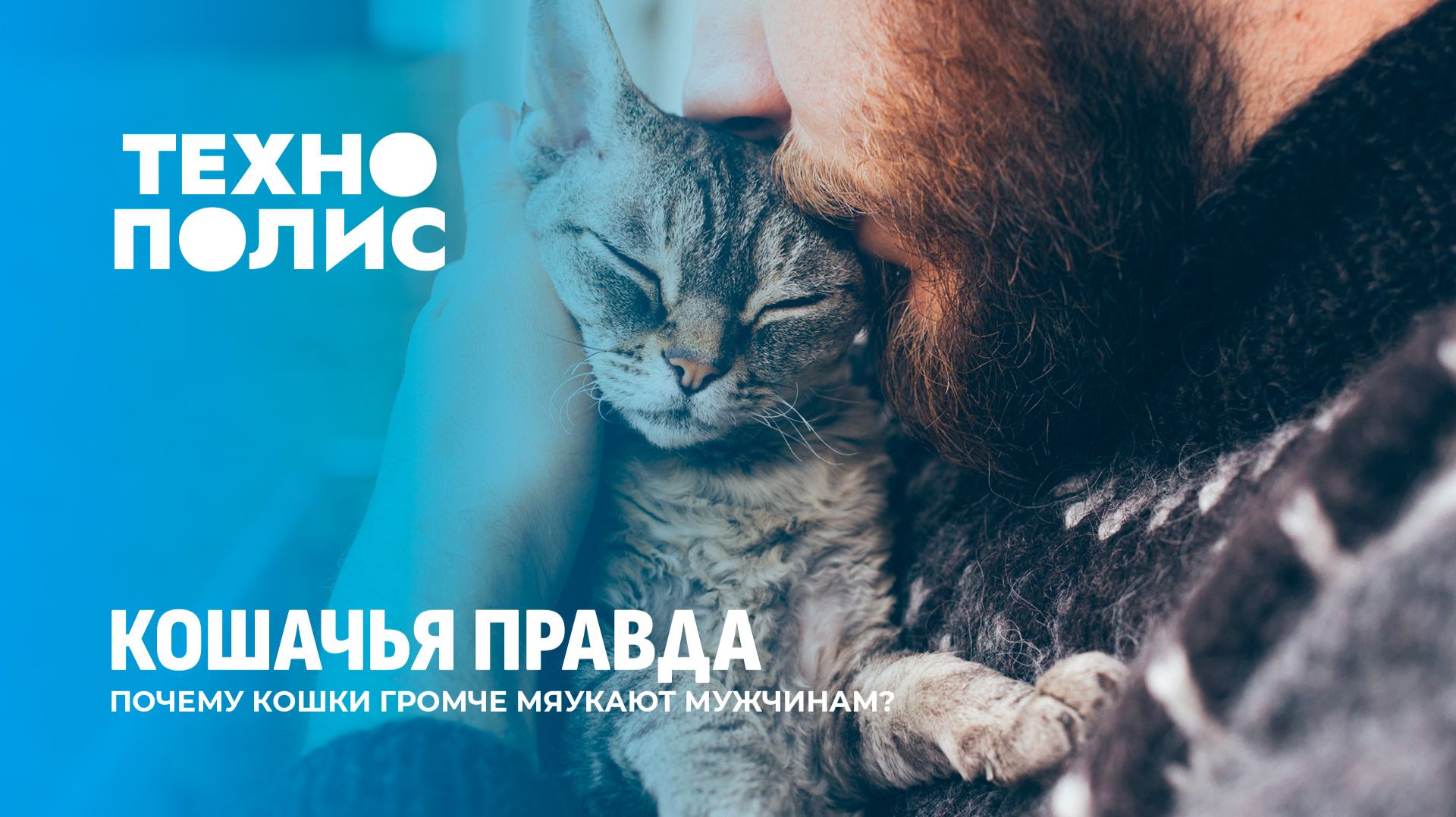 Сверхзвуковой дрон Турции | Топ-слова рунета 2025 | Кошки громче мяукают мужчинам. Технополис