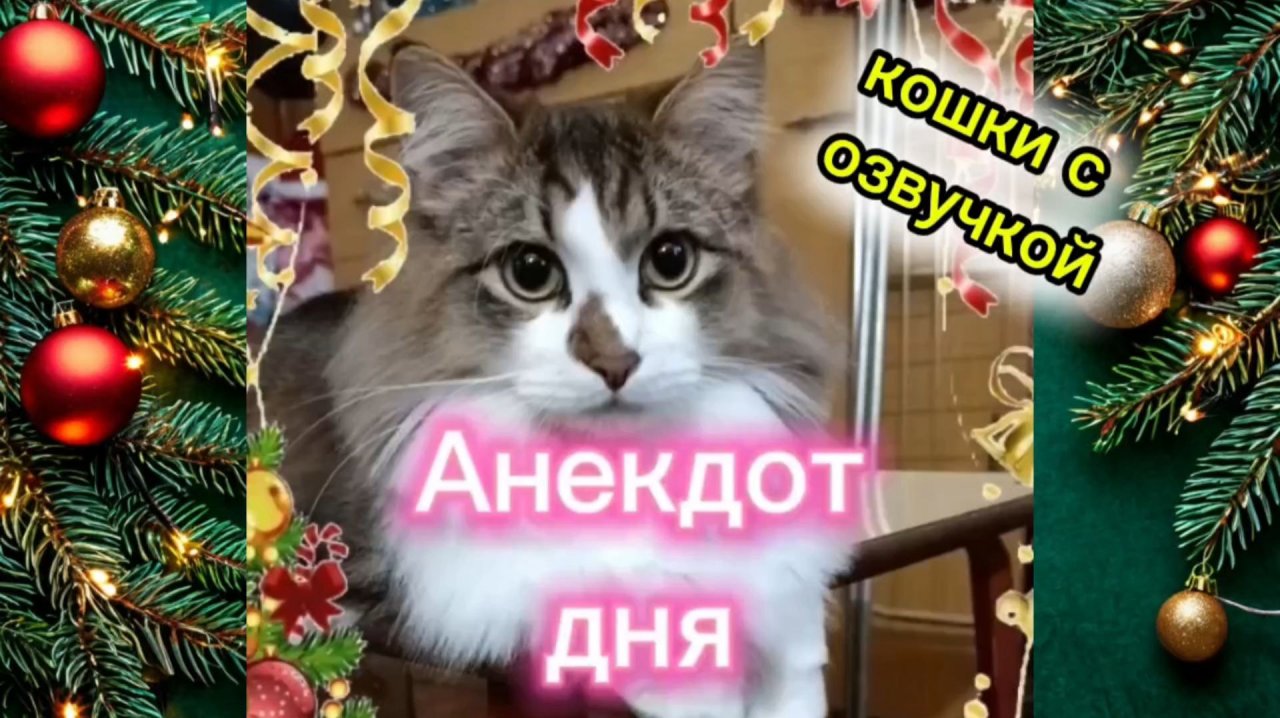 Анекдот дня новогодний.