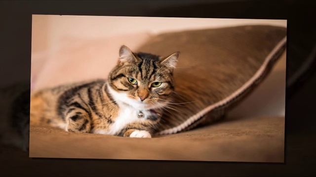 Atmosession - Vol.12 (chillout)