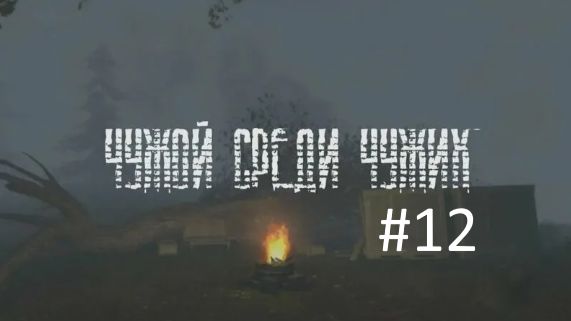 ЧУЖОЙ СРЕДИ ЧУЖИХ #12 (без комментариев)