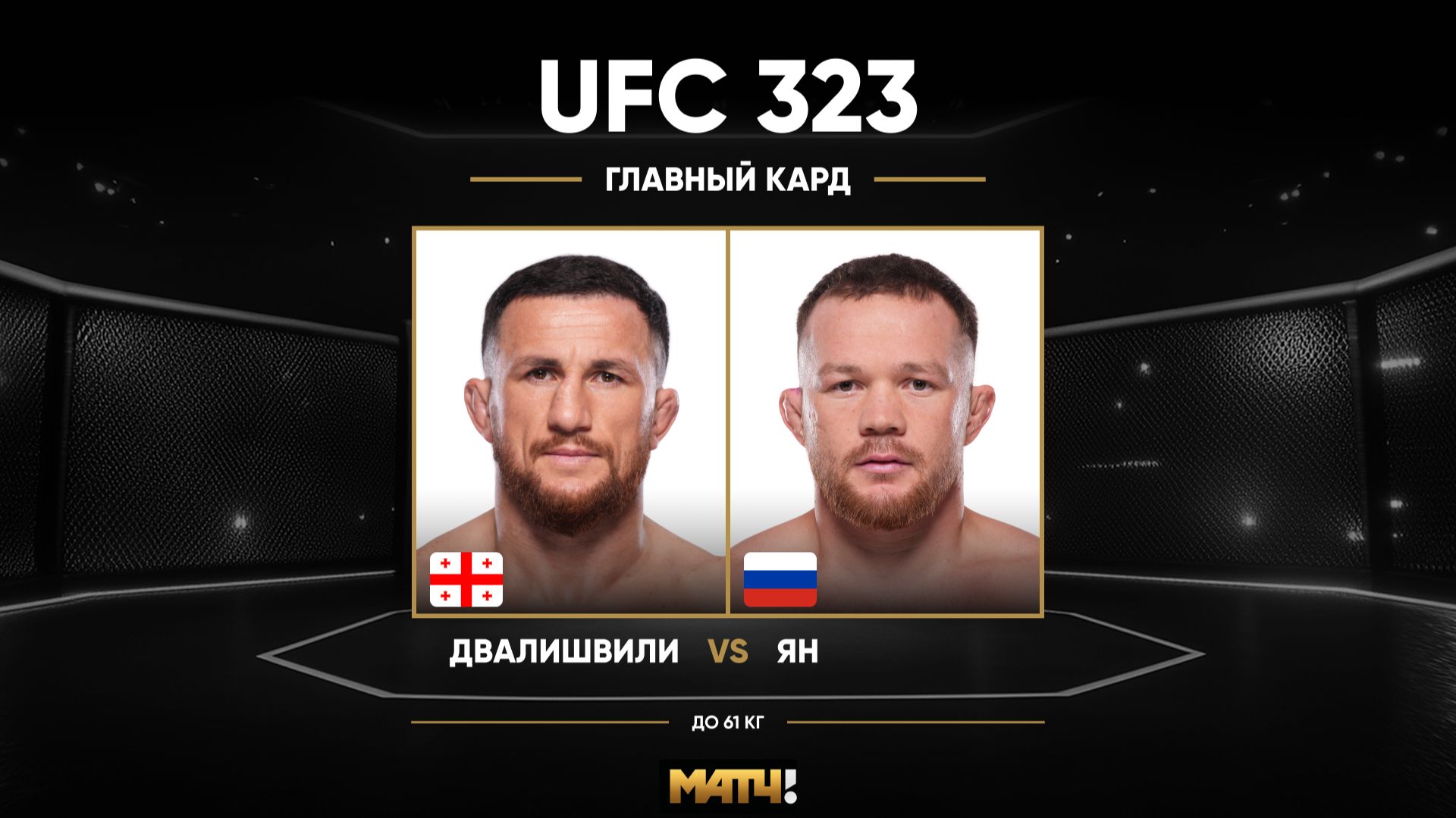 Петр Ян против Мераба Двалишвили (видео). UFC 323