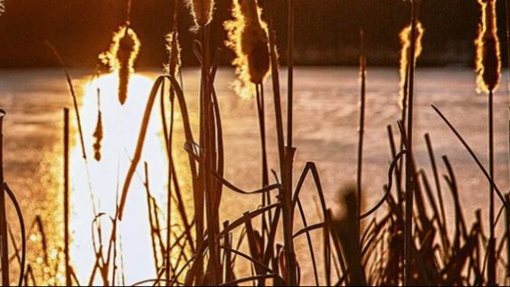 Добрый вечер – тёплая видеооткрытка, чтобы просто пожелать хорошего вечера﻿