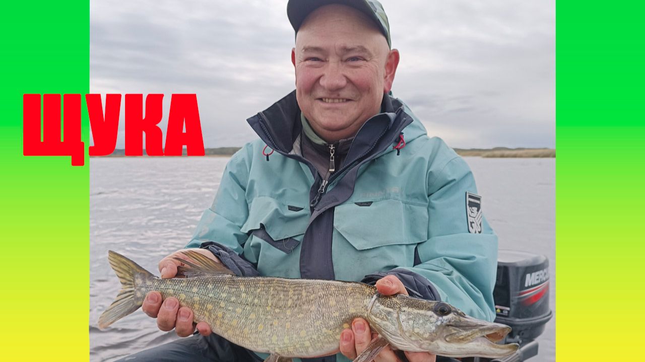 Ловля щуки в калининградских водоемах