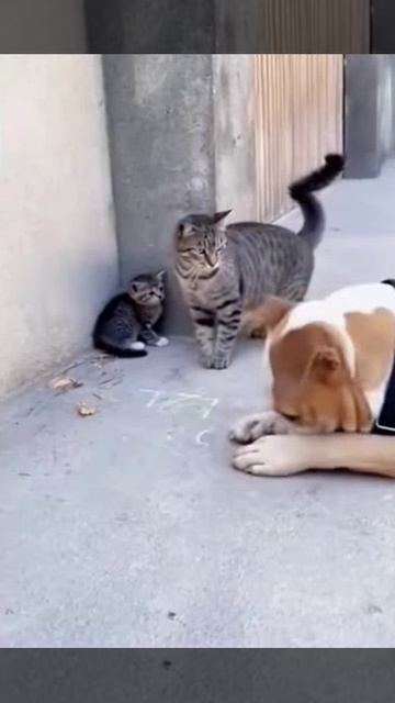 Ошибочка вышла