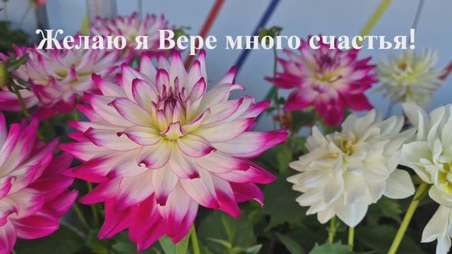 С днём Рождения Вера! Желаю я Вере много счастья!