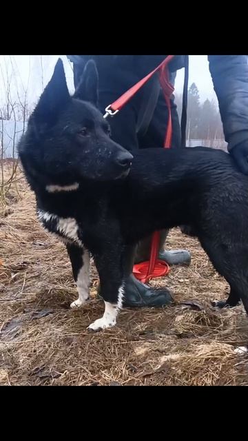 АЮР - прекрасное имя для прекрасного парня