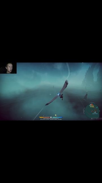 ПТИЦЫ ЗАЩИТНИКИ! The Falconeer: Revolution Remaster - ОБЗОР/ПРОХОЖДЕНИЕ!🔥 #кино #игрыпохожиенаgta