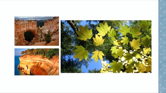 Alexey Evchenko - Viva