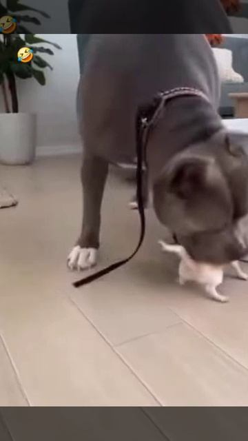 Уйди мелкая