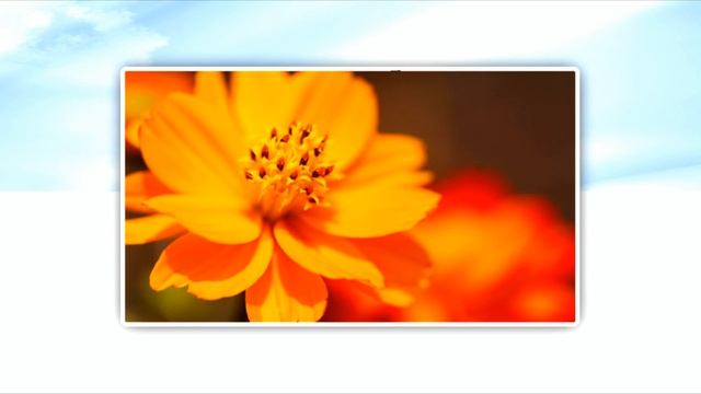 Cities In The Clouds 03