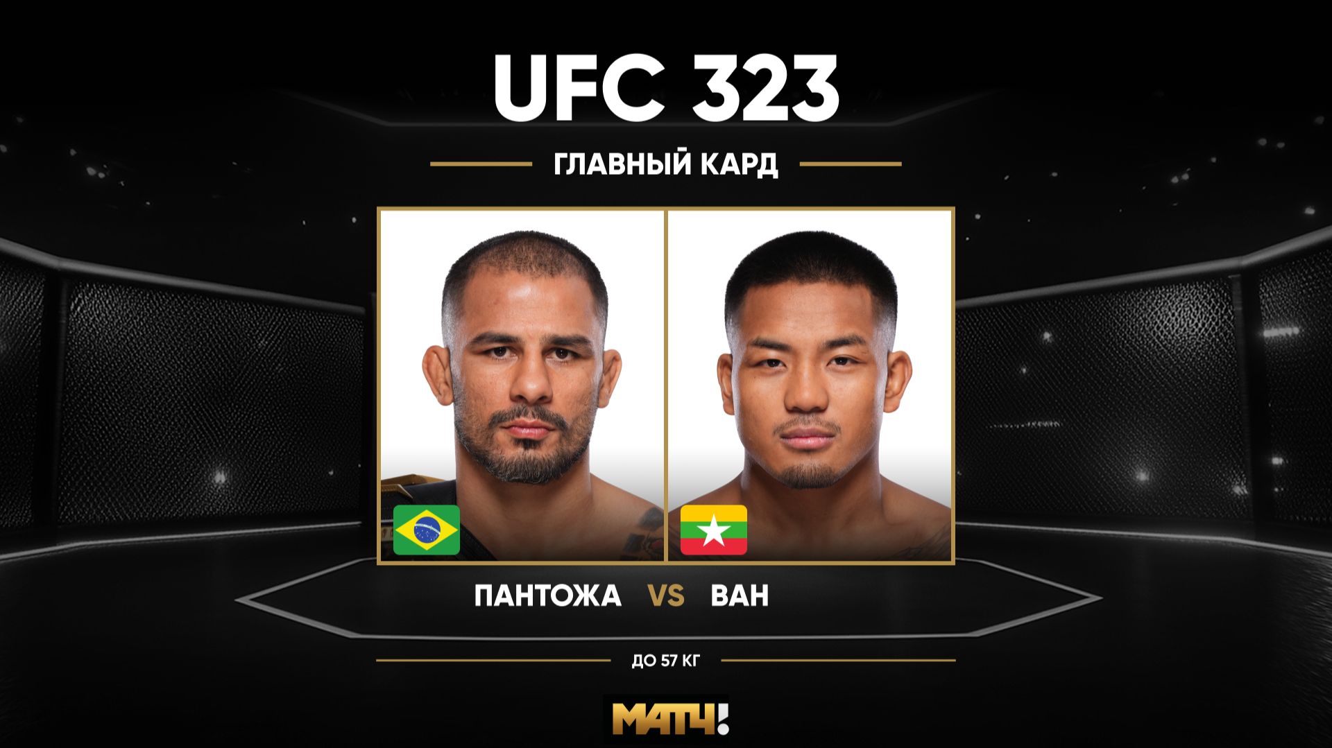 Александр Пантожа против Джошуа Вана (видео). UFC 323
