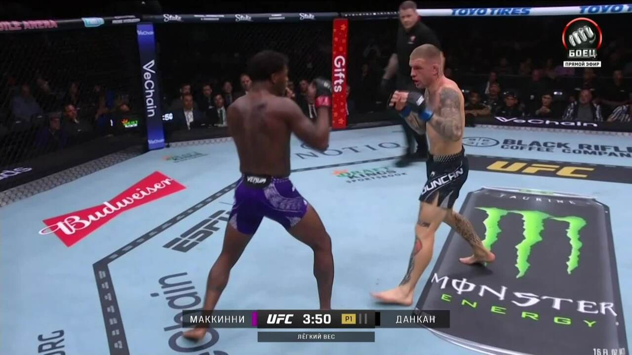 Терренс Маккинни против Криса Данкана (видео). UFC 323