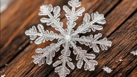 Доброе воскресное утро – пусть день начнётся с добра и улыбки﻿