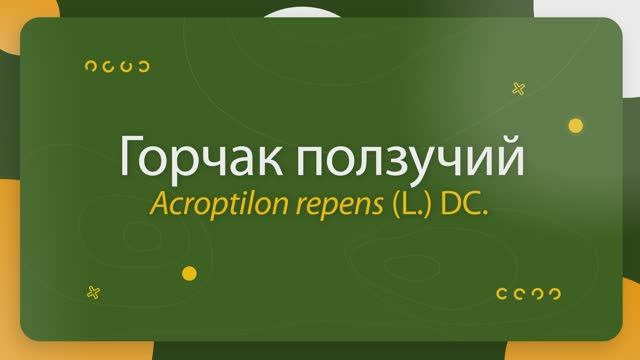 Рассказываем, как распознать вредные растения