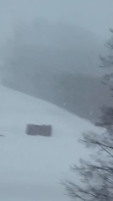 ❄️❄️❄️ Снежная карусель 🥰