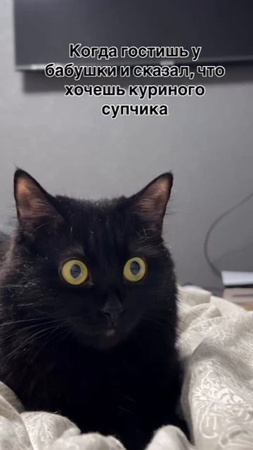 Зато супчик вкусный