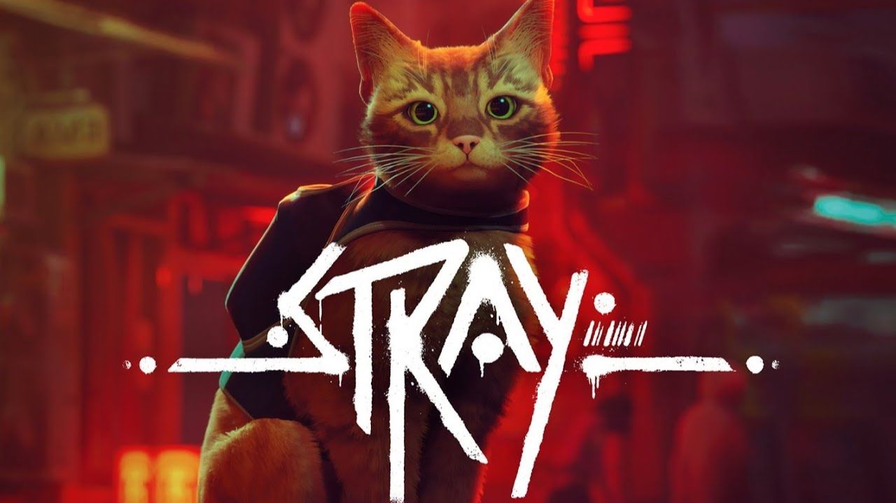 Stray#1