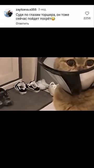 Торшер ))))))))))))))))))