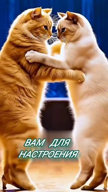 Добавь себе настроения. Классная песня и красивая открытка.