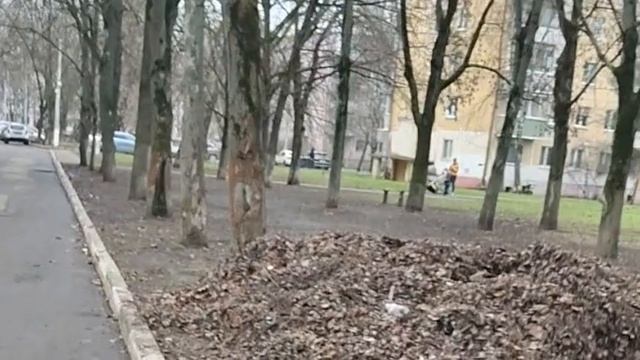 ЖЕНЩИНА РИММА, ЕЛЕНА ШАПОКЛЯК (знакомство)