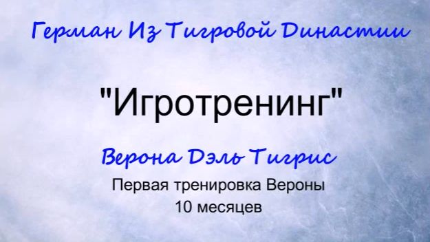 Игротренинг  Январь 2015