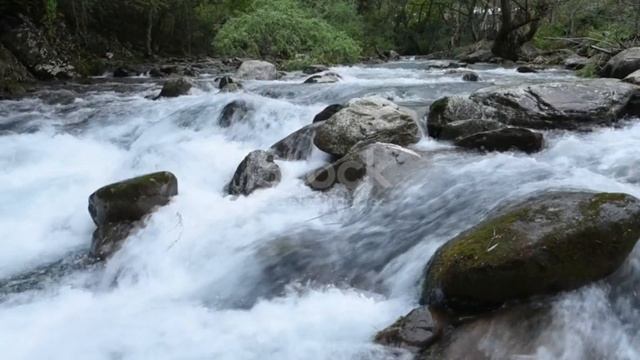 Звуки речки 15 мин