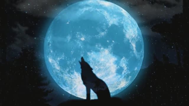 Песня шансон Одинокий волк Виталий Цаплин Блатной удар блатные песни