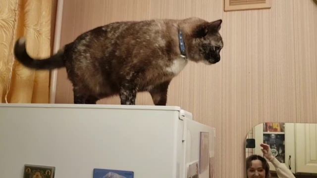 Леся и Сёма - Наглая молодёжь