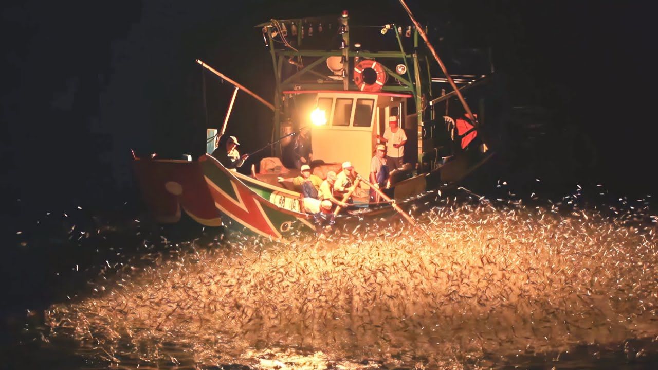 Удивительное мастерство! Уникальная техника ловли рыбы — рыбалка с помощью серного огня _ Фейерверк!