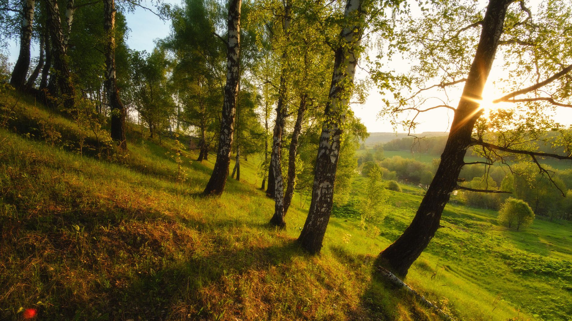 Farming Simulator 19 "Золотой колос" Не знаю как вам , но на этой карте хоть есть чем занятся.