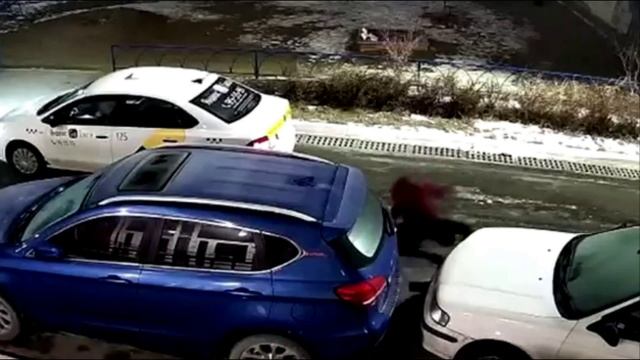 Неудачно спикировал между 2 х машин