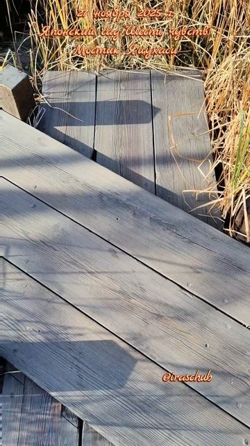 27 ноября 2025 г. Японский сад "Шесть чувств". Мостик Яцухаси #крым #мрия #японскийсад #яцухаси