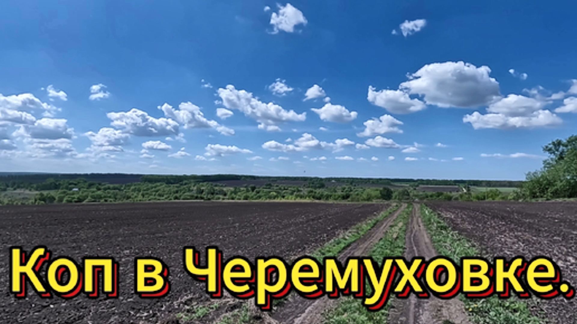 Приборный поиск. Коп в Черемуховке